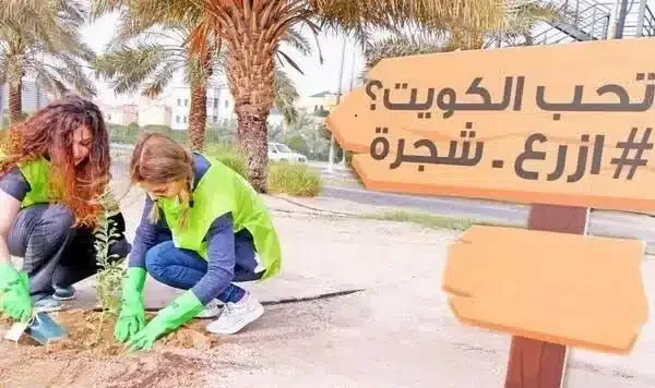 افكار توزيعات يوم التخضير في الكويت 2023