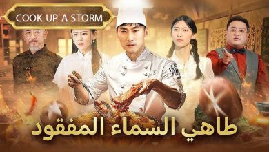 فيلم طاهي السماء المفقود الصيني